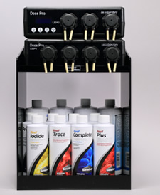 �Q�A���V�[�P���Y����