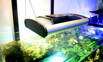 ワイヤースタイル