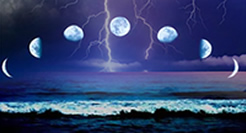 
�E�F�U�[�V���~���[�V����