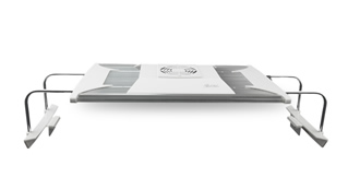 マウントスタイル