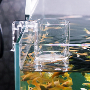 BubbleMovingMediaFilter