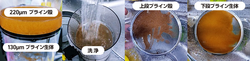 0.13mm+0.1mmの組み合わせ例